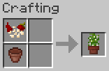 Crafting potted flowering chili pepper